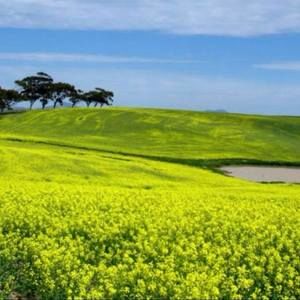 Meet your Posher, Karla